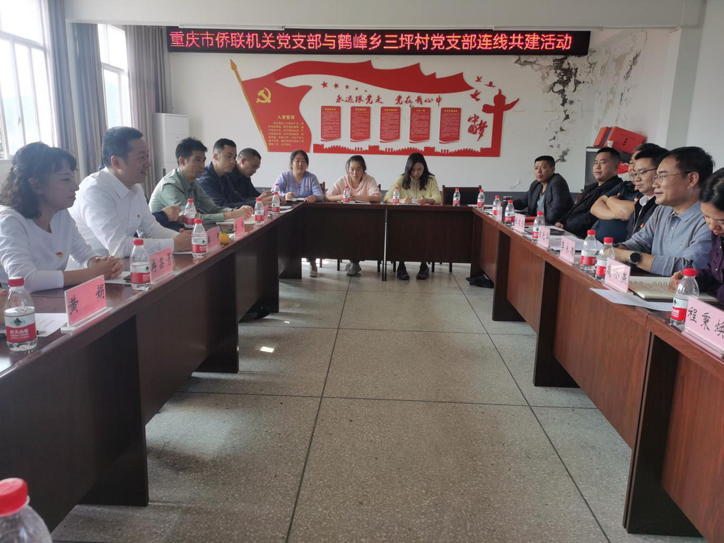 20231023重庆市侨联机关党支部与奉节县鹤峰乡三坪村党支部连线共建活动.png