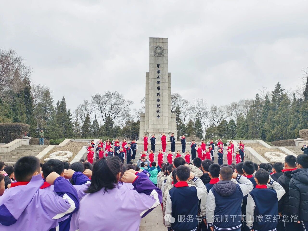 f5333a2f357566136b4b28ad94cf49e5